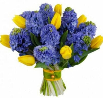 Blue Hyacinth with Tulips Bouquet