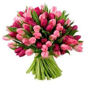 Bouquet of Pink and Cerise Tulips