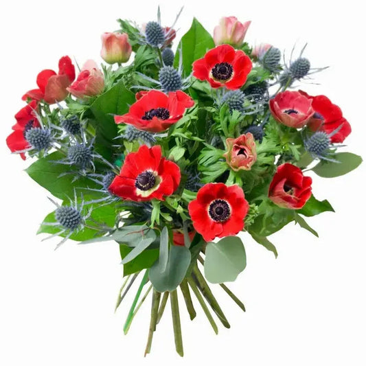 Bouquet of Red Anemone with Eryngium