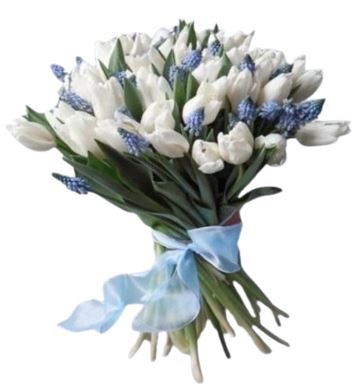 Bouquet Of Tulips and Muscari