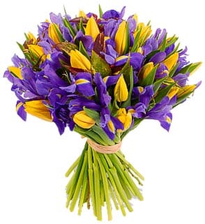 Bouquet of Yellow Tulips and Iris