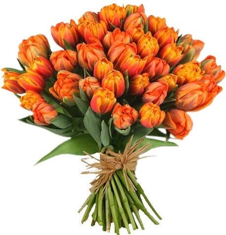 Bouquet Orange Double Tulips