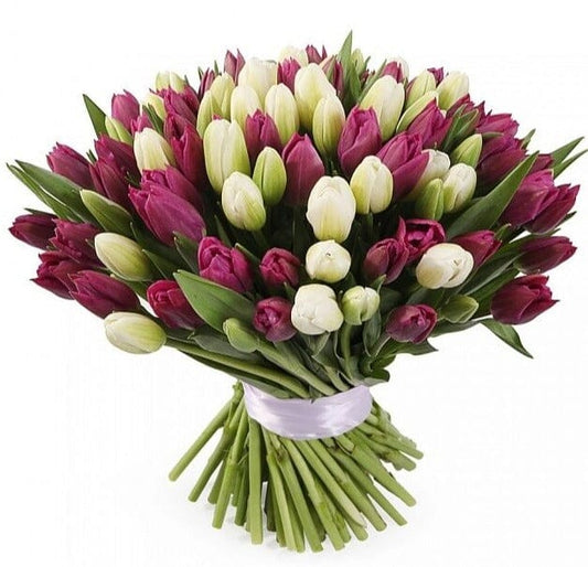 Cerise and White Tulips Bouquet