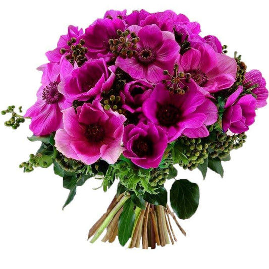 Cerise Anemones with English Berry Bouquet