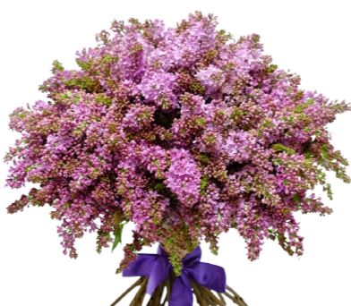 Classic Lilac Bouquet