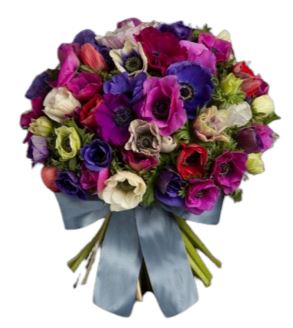 Colored Anemone Bouquet