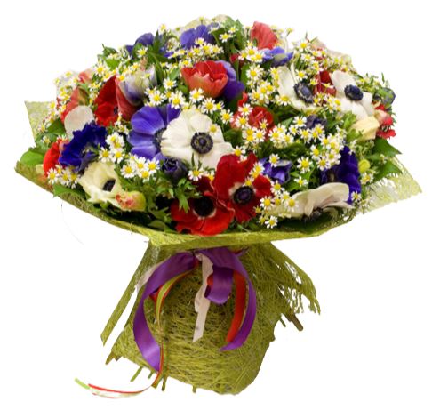 Colorful Anemone with Tanacetum Bouquet