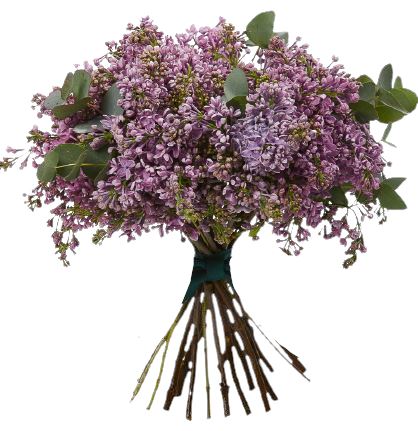 Lilac Bouquet with Eucalyptus