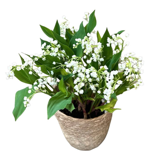 Lily of Valley in a Circular Basket
