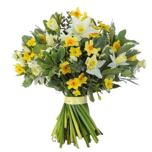 Narcissus and Daffodils Bouquet with Greenery