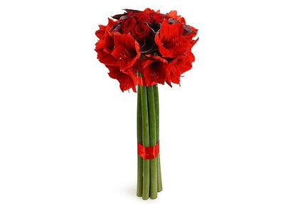 Red Amaryllis and Burgundy Calla Lily Bouquet