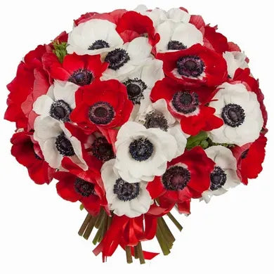 Red and White Anemones Bouquet