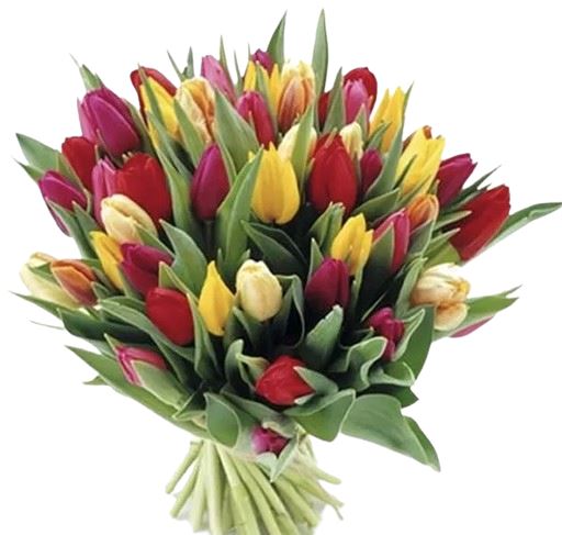 Vibrant Trio Tulips Bouquet