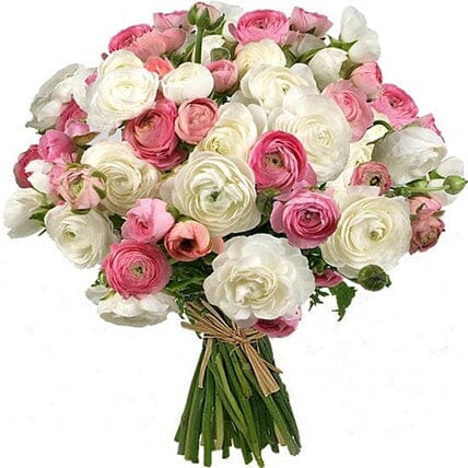 White & Pink Ranunculus Bouquet