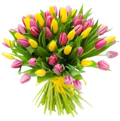 Yellow and Pink Tulips Bouquet