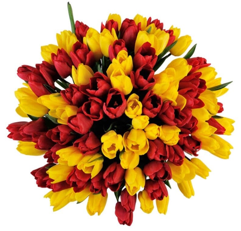 Yellow and Red Tulips Bouquet