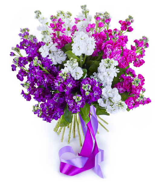 3 Colors of Stock Bouquet