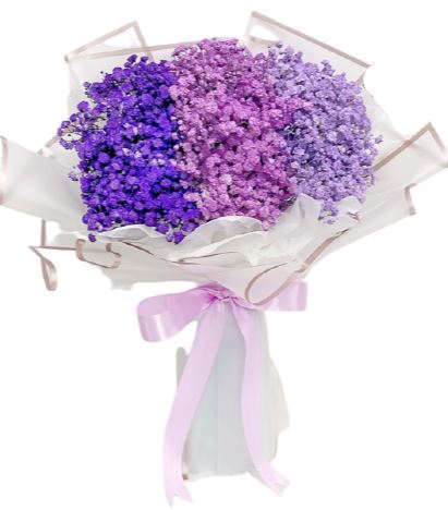 3 Colours of Baby's Breath Bouquet