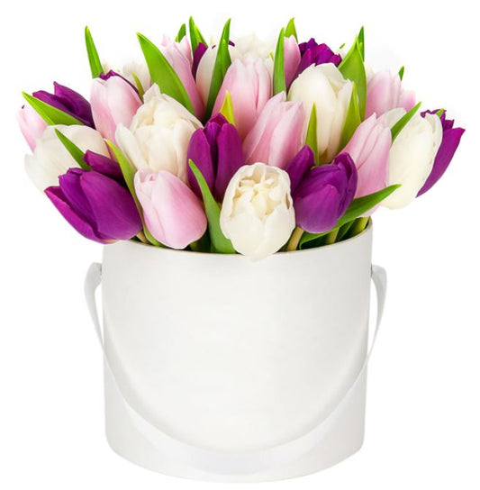 3 Shades of Tulips Box
