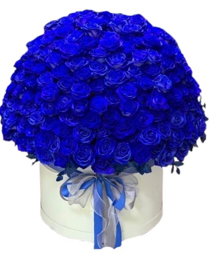 Amazing Blue Roses Box