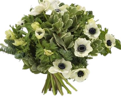 Anemone with Spruce Bouquet