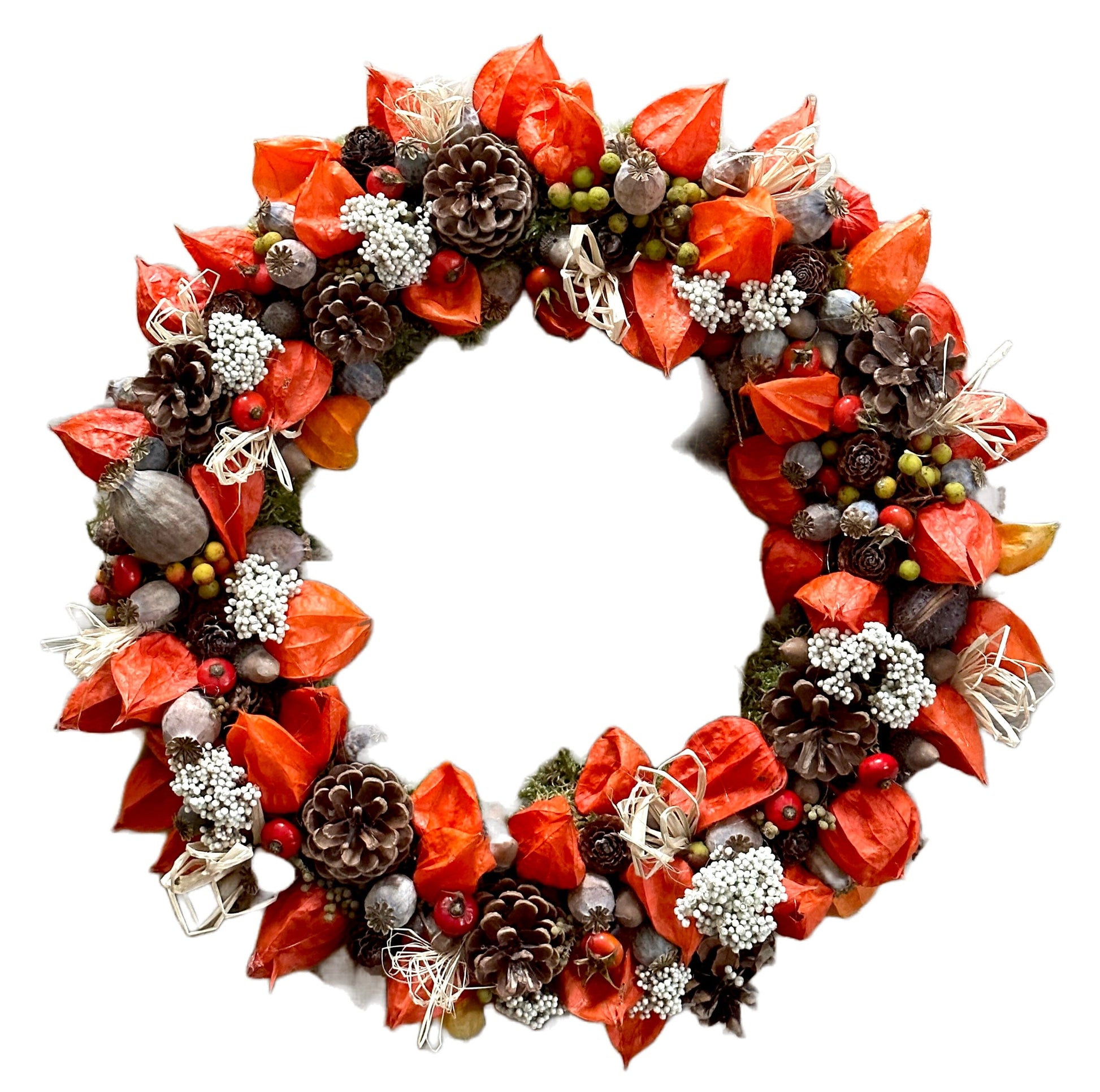 Autumn Wreath with Cones and Physalis