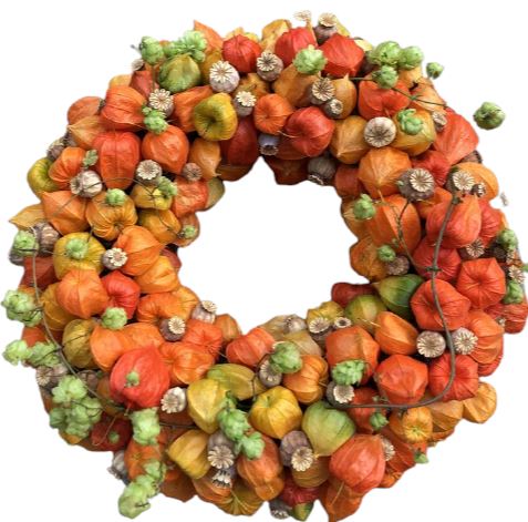 Autumn Wreath with Hobs and Physalis