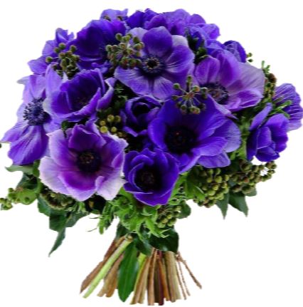 Blue Anemones with English Berry Bouquet
