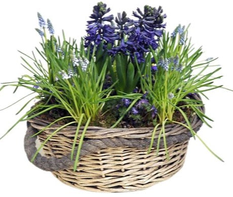 Blue Flowers Basket