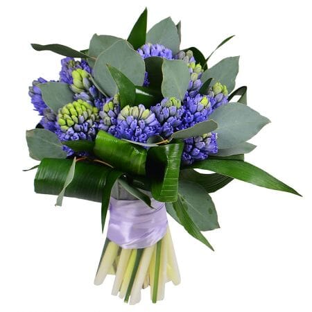 Blue Hyacinth with Greenery Bouquet