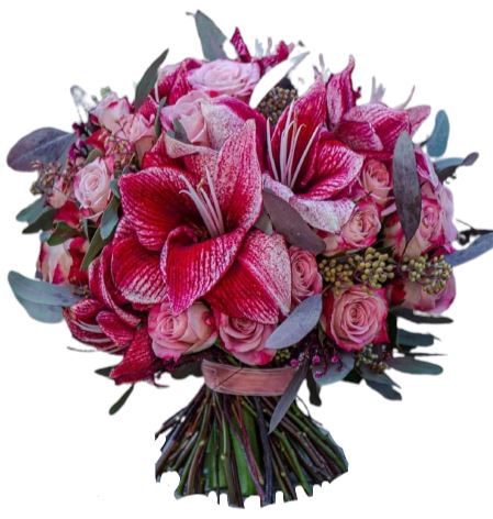 Blush Amaryllis Bouquet