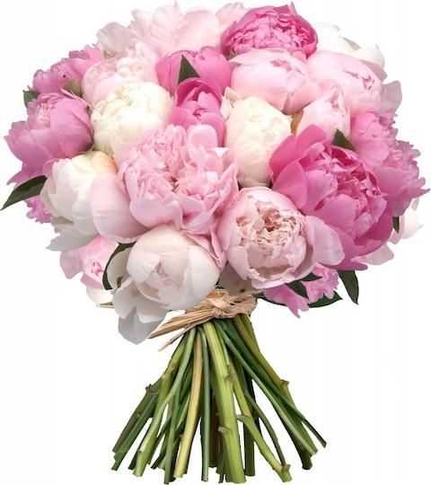 Bouquet of 3 Shades Peonies