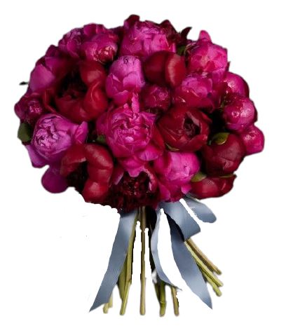 Bouquet of Cerise and Red Peonies