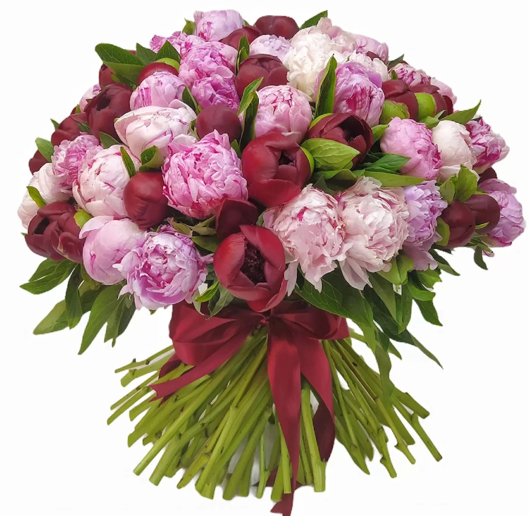 Bouquet of Pink and Red Peonies