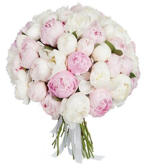 Bouquet of Pink and White Peonies