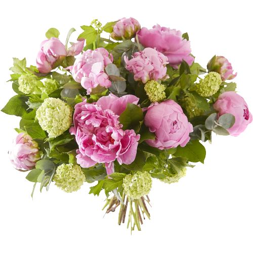 Bouquet of Pink Peonies and Viburnum