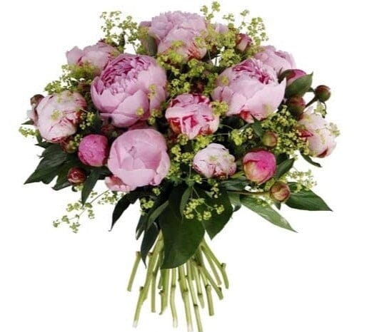 Bouquet of Pink Peonies with Alchemilla