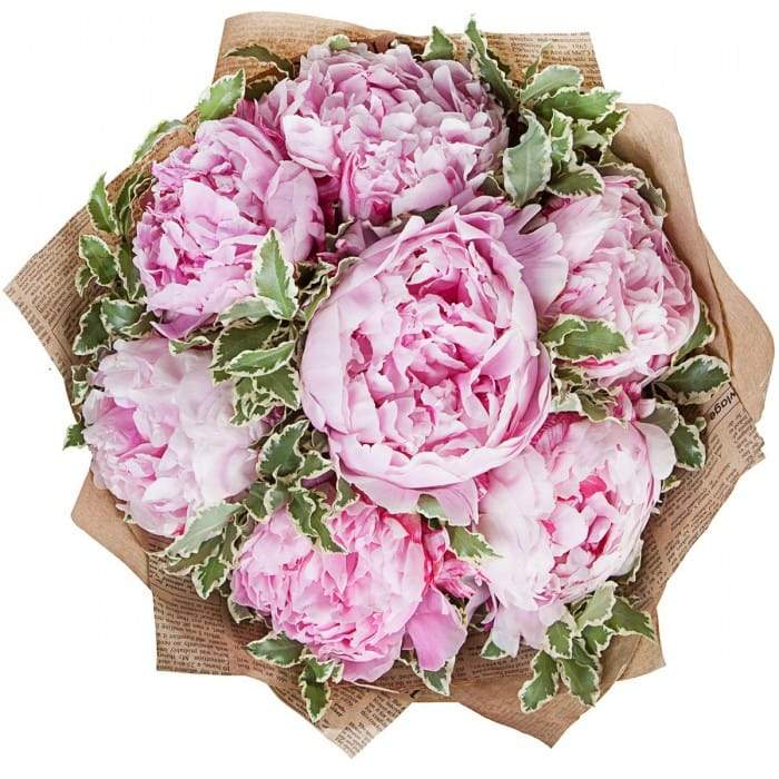 Bouquet of Pink Peonies with Greenery