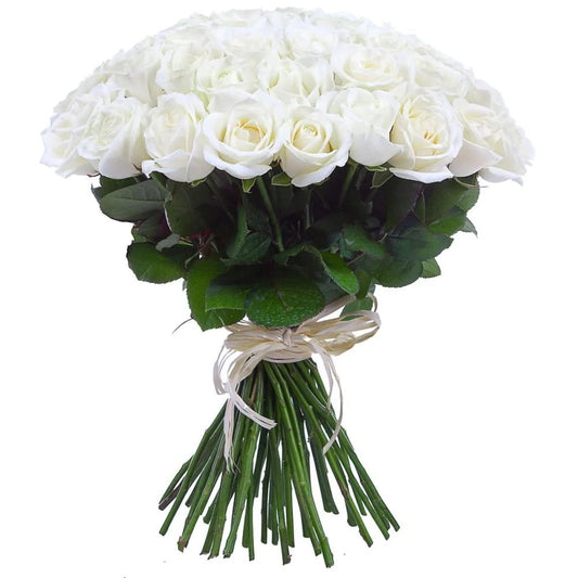 Bouquet of Pure White Roses