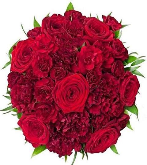 Bouquet of Ruby Red Roses