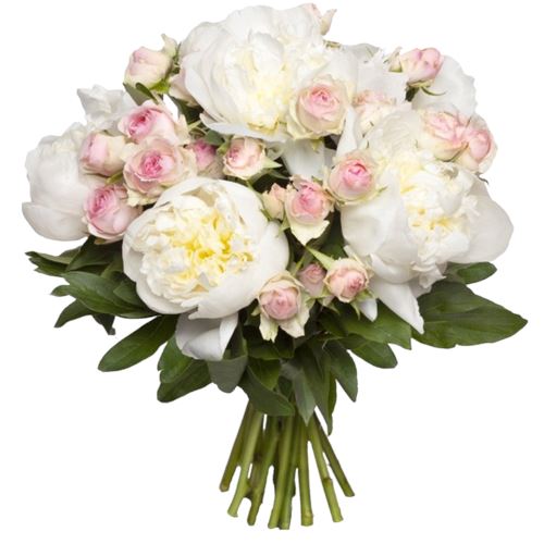 Bouquet of White Peonies and Spray Roses