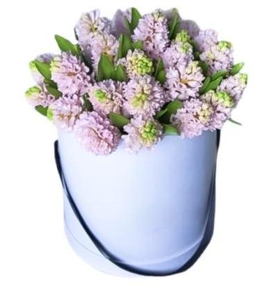 Box of Hyacinths
