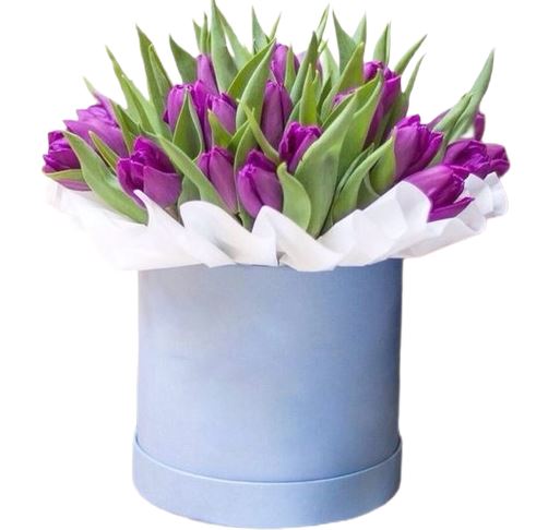 Box of Tulips