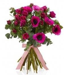 Cerise Anemone Bouquet