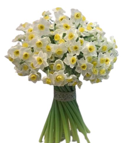 Classic Bouquet of Spray Narcisus