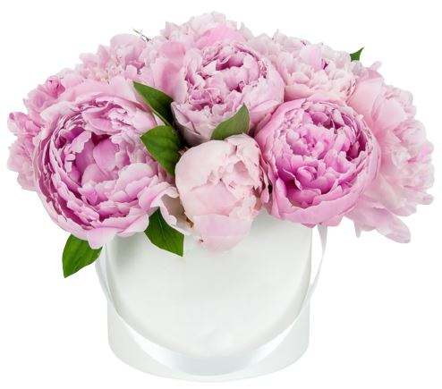 Classic Box with Peonies