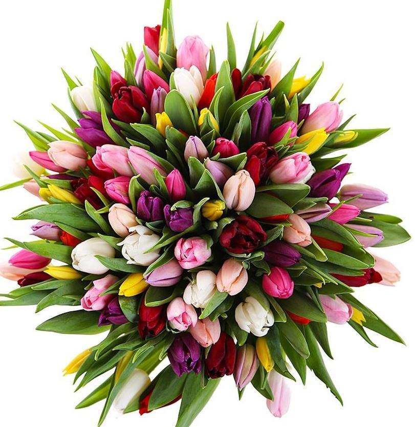 Colored Bouquet of Tulips