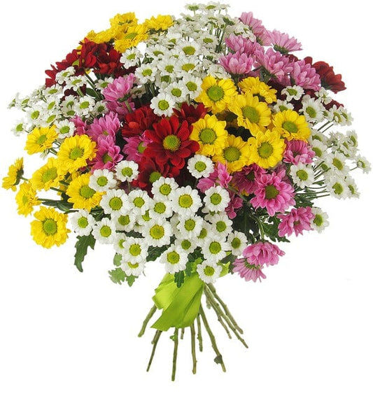 Colored Santini Chrysanthemum Bouquet