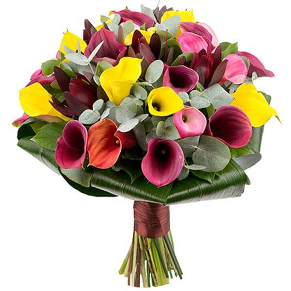 Colorful Bouquet of Calla Lilies