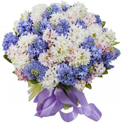 Colorful Bouquet of Hyacinths